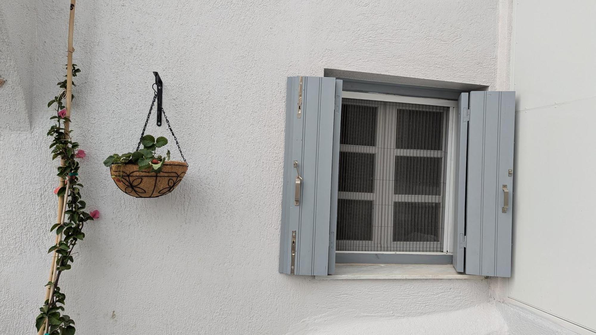 The Botanist Guesthouse Skopelos Town Ngoại thất bức ảnh