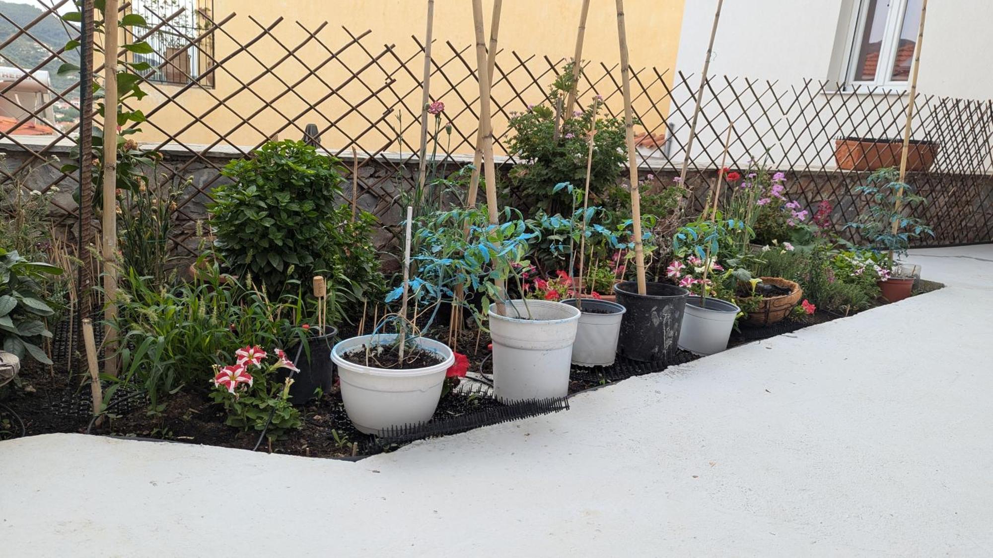 The Botanist Guesthouse Skopelos Town Ngoại thất bức ảnh