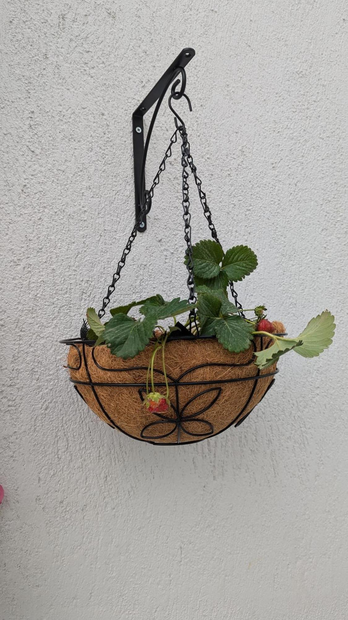 The Botanist Guesthouse Skopelos Town Ngoại thất bức ảnh