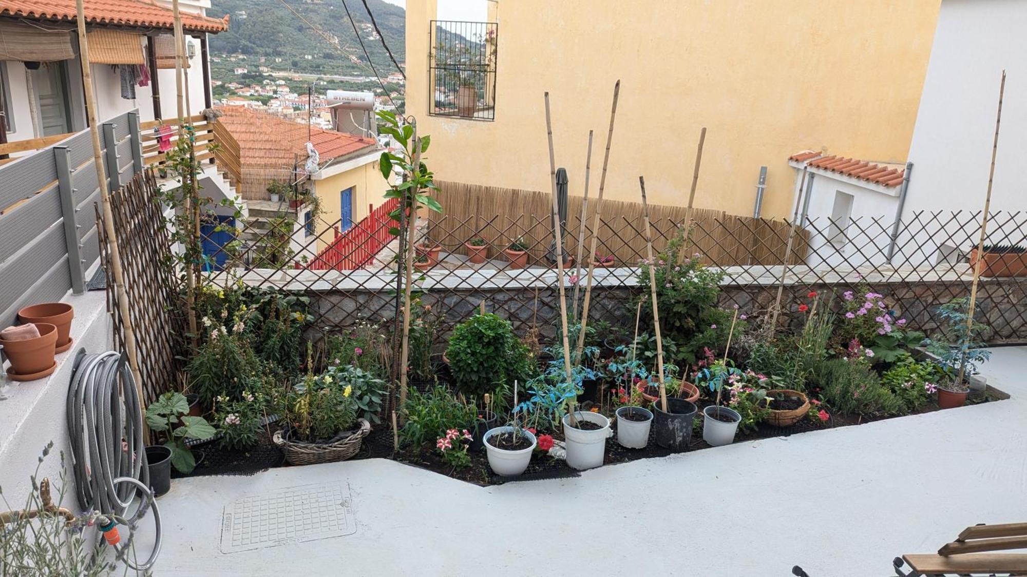 The Botanist Guesthouse Skopelos Town Ngoại thất bức ảnh