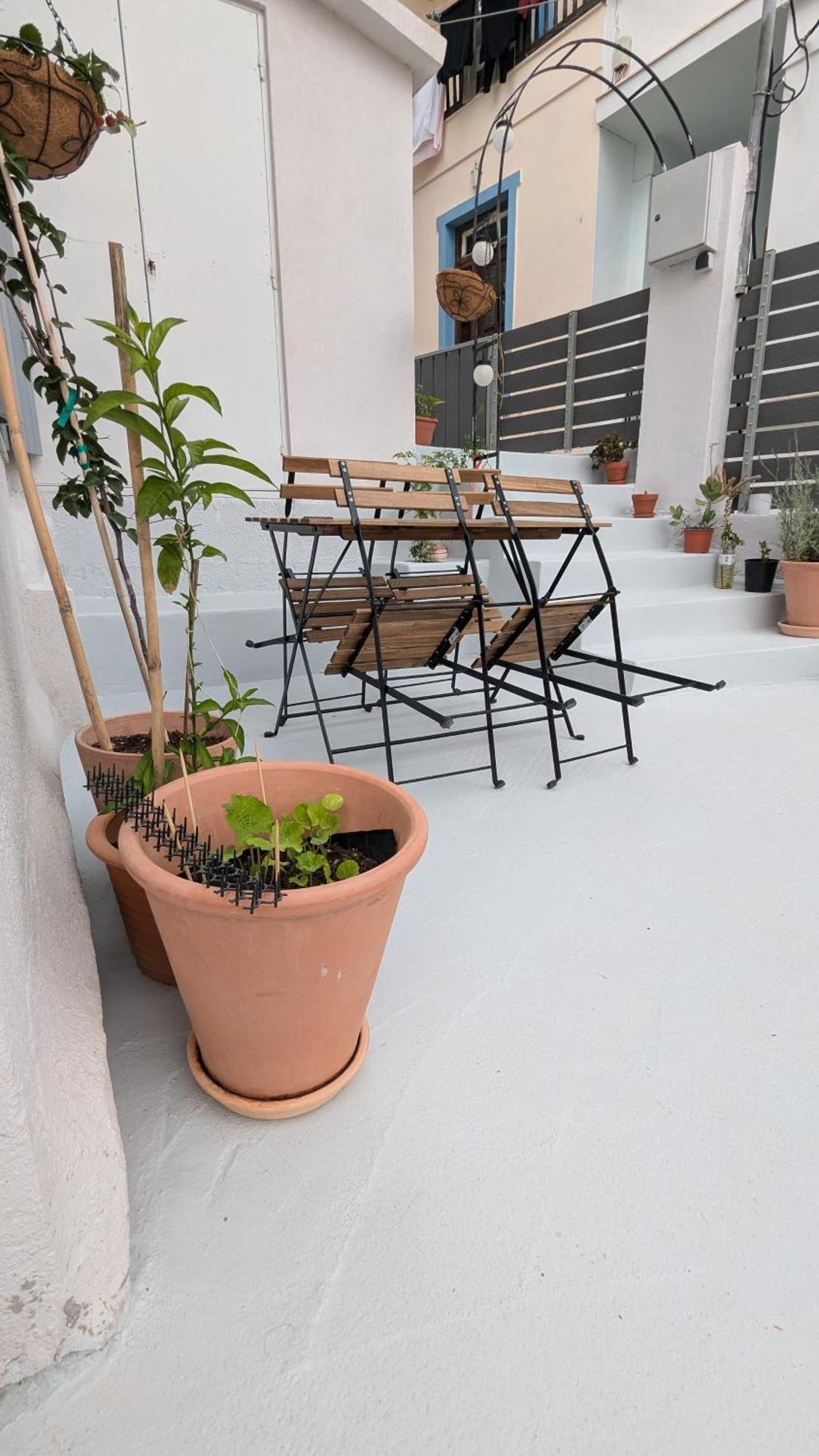 The Botanist Guesthouse Skopelos Town Ngoại thất bức ảnh
